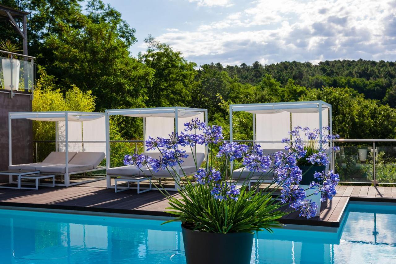 Domaine De Chalveches Hotel Spa 4* Faugeres  Екстериор снимка